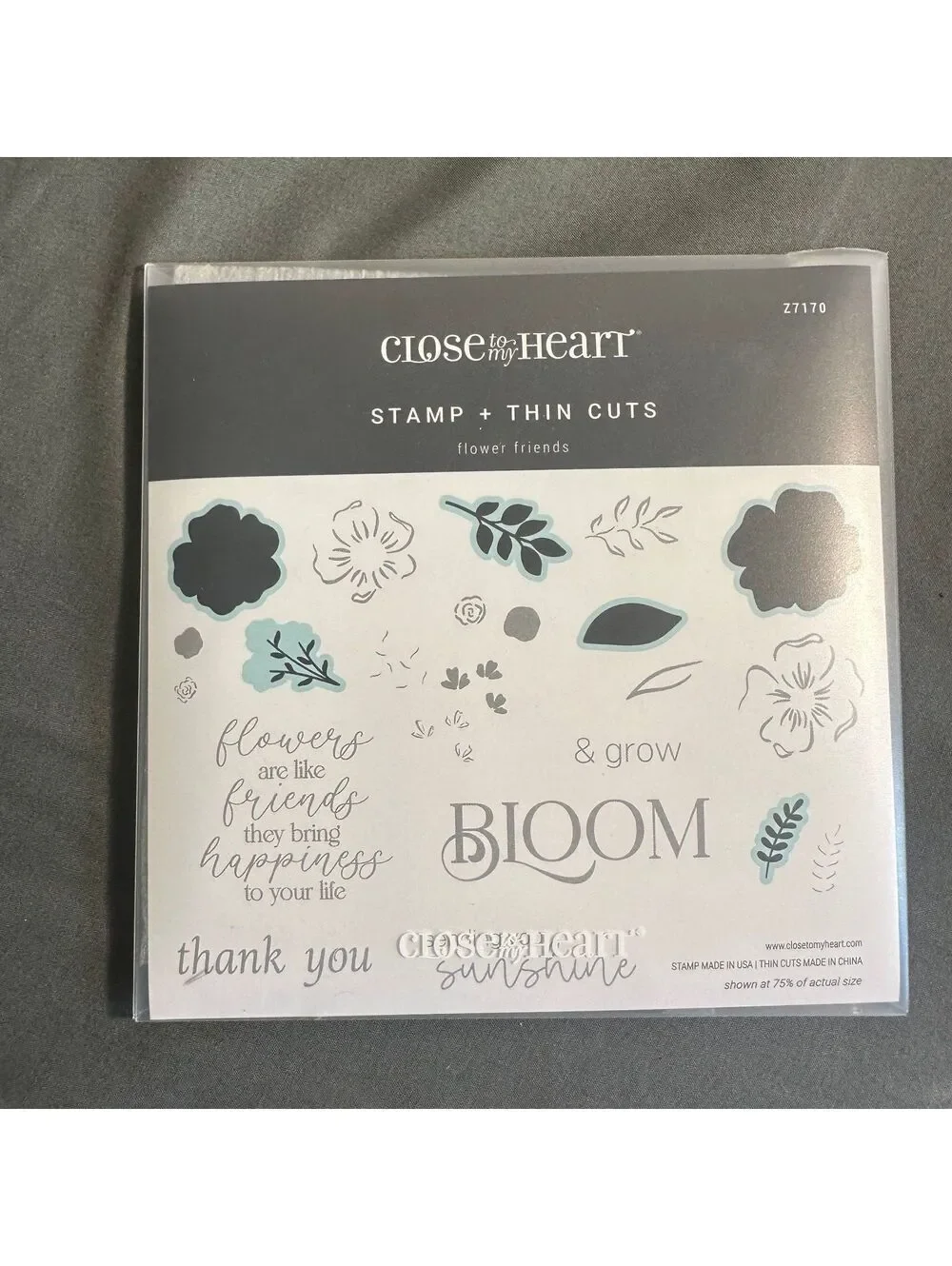 Close To My Heart Acrylic Stamp and Thin Cut Set